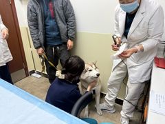 -美联众合动物医院·24h转诊中心
