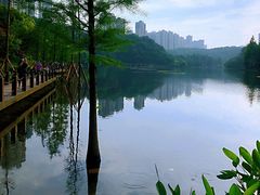 -重庆彩云湖湿地公园