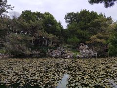 -叶家花园