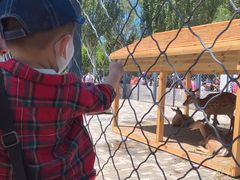 -长白岛森林公园