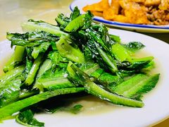 -煲来饱去冷水鱼