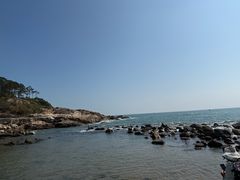 -广东惠东海龟国家级自然保护区