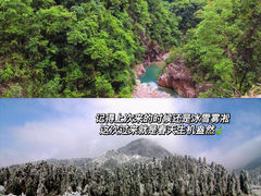 -九龙江国家森林公园