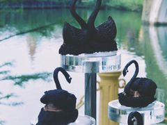 -深圳东部华侨城茵特拉根酒店