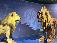 -国家自然博物馆