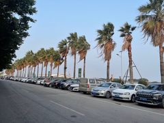 -南沙十九涌渔人码头-南门