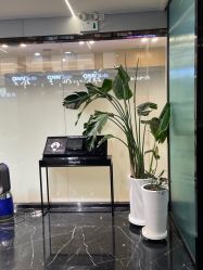 -时尚殿堂salon
