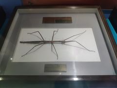 景点-上海昆虫博物馆