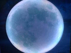 -天津梵高星空艺术馆(天河城旗舰店)