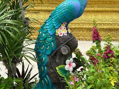 -西双版纳傣族园