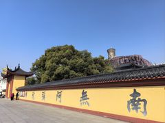 -上海东林寺(金山区)