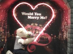 android_upload_pic-济州岛泰迪熊博物馆