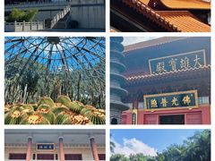 -深圳市中科院仙湖植物园