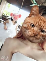点击看大图 -金夫人婚纱摄影(华南店)