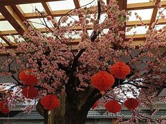 -鸥迪足道(安庆店)