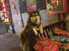 -故事小酒馆