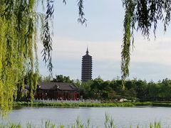 -西海子公园