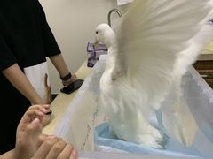 -美联众合动物医院·24h转诊中心
