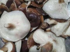 -庆岭迎宾园正宗活鱼馆