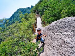-大岭沟猕猴桃谷风景区
