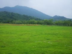 -风云岭森林公园