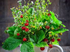 -周鱼小馆石锅酸菜鱼(活力汇店)