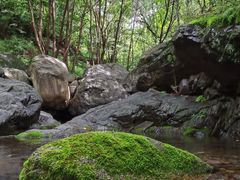 -云岫谷游猎自然风景区