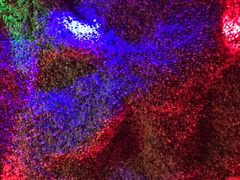 -碧中海汤泉汗蒸酒店