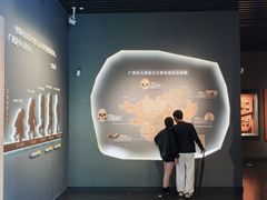 -广西壮族自治区博物馆