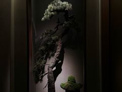 -觀芷隐轩