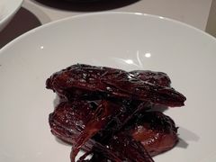 -杨氏青龙虾·羊蝎子(托乐嘉店)
