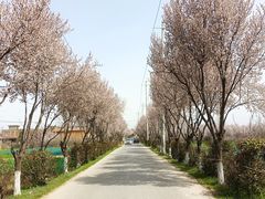 -洨河生态公园