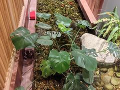 -邈墨茶馆(江南星座1店)