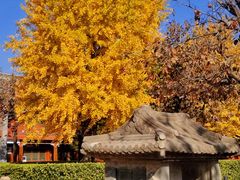 -北京石刻艺术博物馆(五塔寺)
