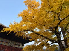 -红螺寺