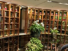 -青藤茶馆(凤起路店)