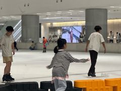-TheRink大零溜冰场(IFS国金中心店)
