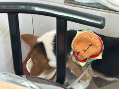 -妈妈的小作坊(陈家镇店)