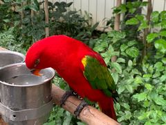 -南宫五洲植物乐园