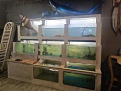 -质烤烤物·活烤海鲜(质烤总店)
