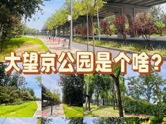 -大望京公园