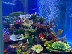 -成都浩海立方海洋公园