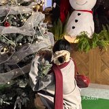 今年澄海圣诞节就在这里过🎅气氛太好了🥹