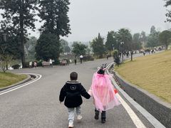 -枫香湖儿童公园