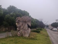-久萌教培·仙霞网球中心官方培训