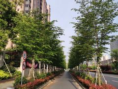 -新江湾城公园