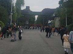 -溱湖国家湿地公园