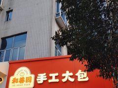 -和善园手工大包子(常德路店)