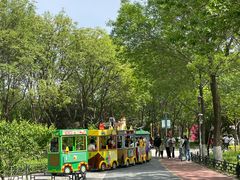 -大兴滨河森林公园