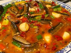 -院8里·小聚园老川菜(九眼桥店)